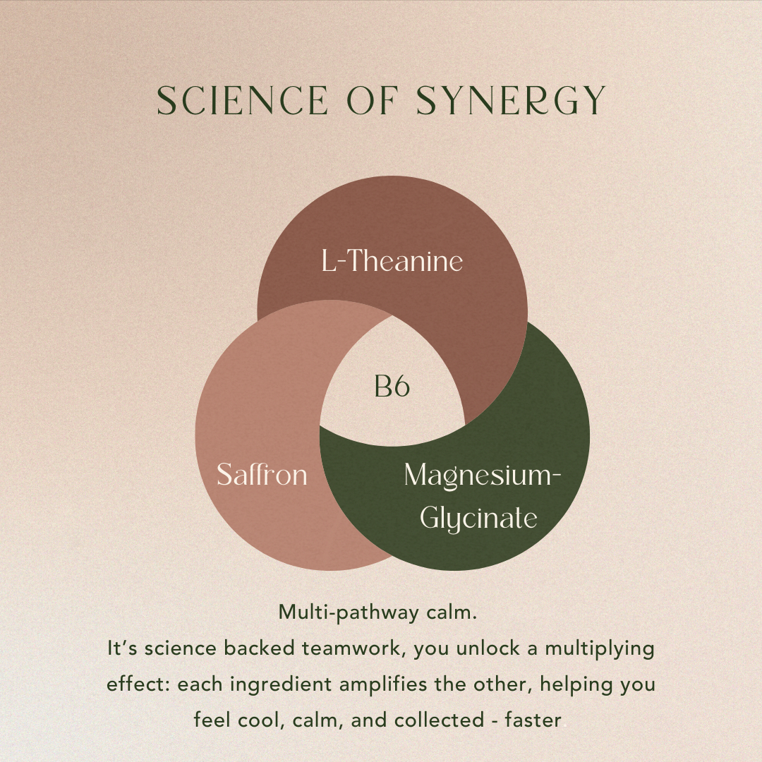 Diagram of synergy between L-Theanine, B6, Saffron, and Magnesium-Glycinate on a beige background.
